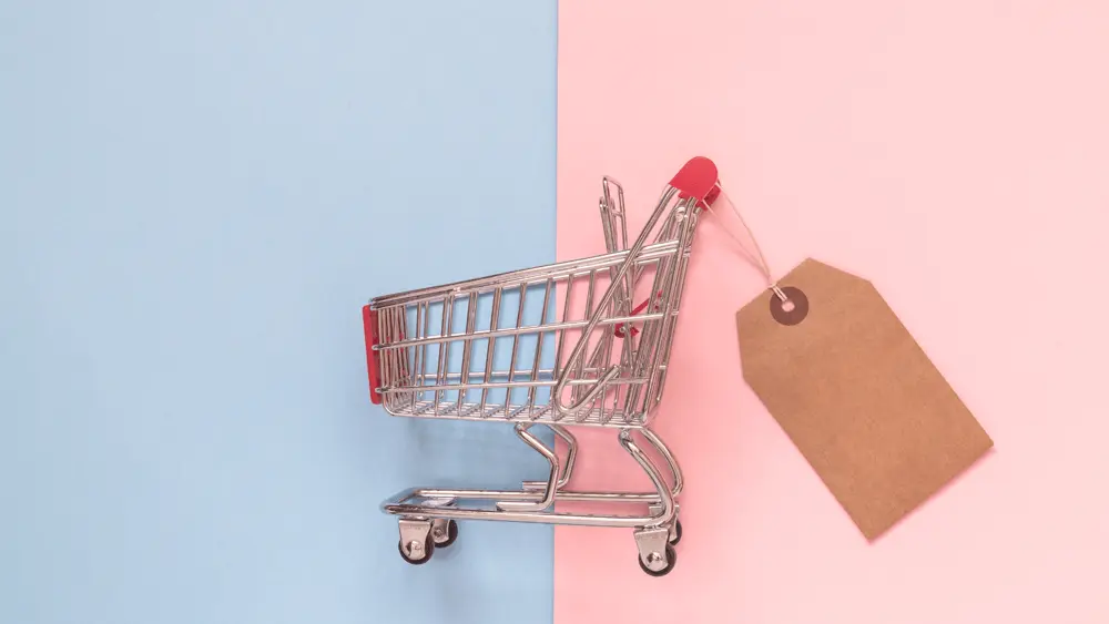 The Ultimate Showdown: WooCommerce vs. BigCommerce, Pricing and Plans