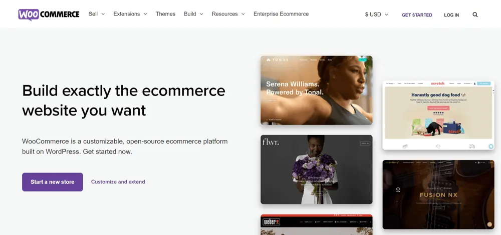 The Ultimate Showdown: WooCommerce vs. BigCommerce, Introducing WooCommerce
